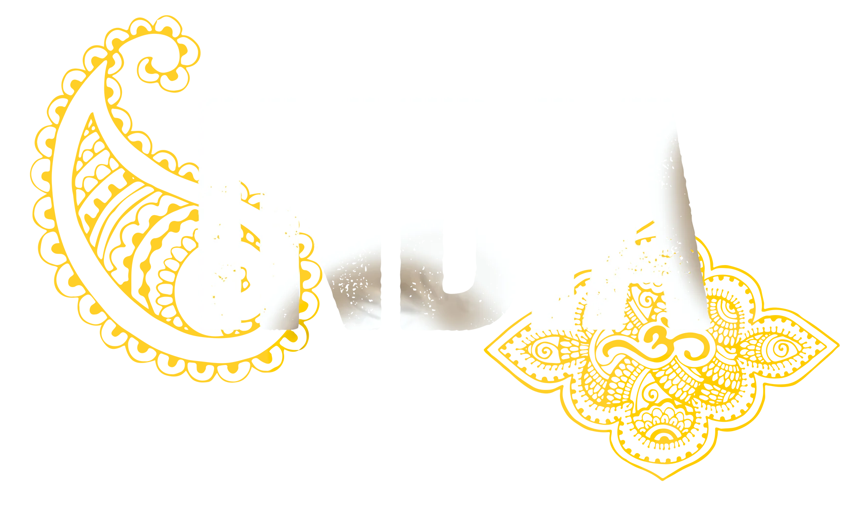 Chamberlain University Magazine India Type
